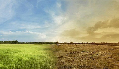IDENA incorpora cartografía sobre cambio climático generada en LIFE-IP Nadapta-CC