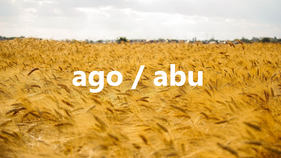 Novedades y actualizaciones de agosto 2026